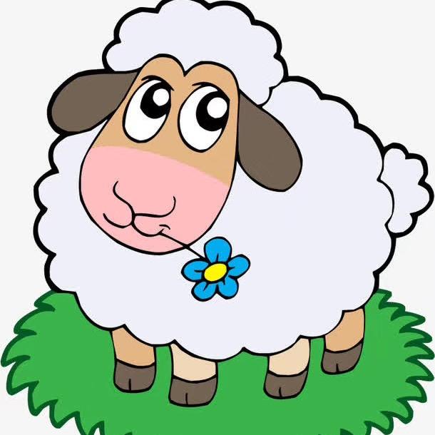 羊大力🐑