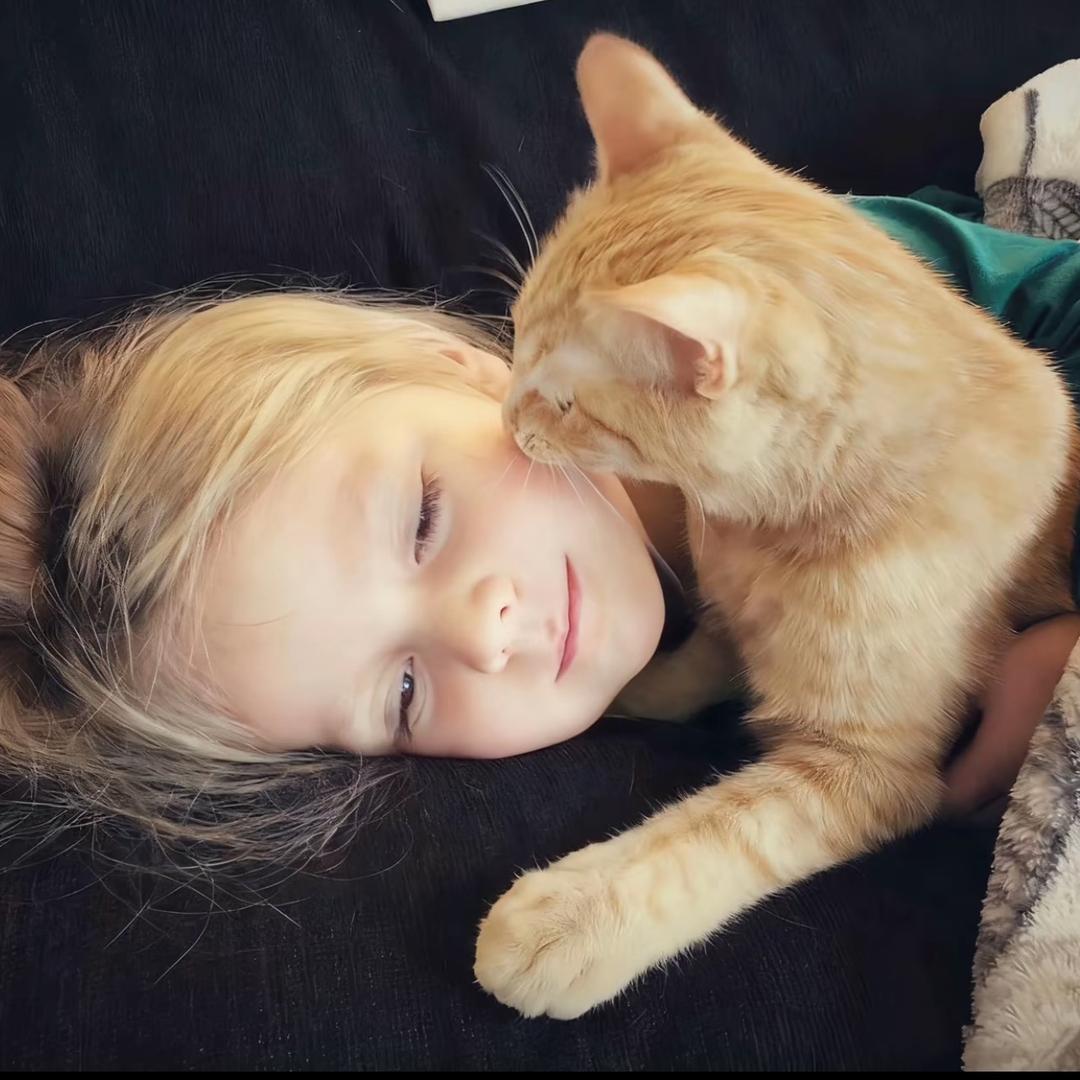 一觉起来瘦10斤🧀