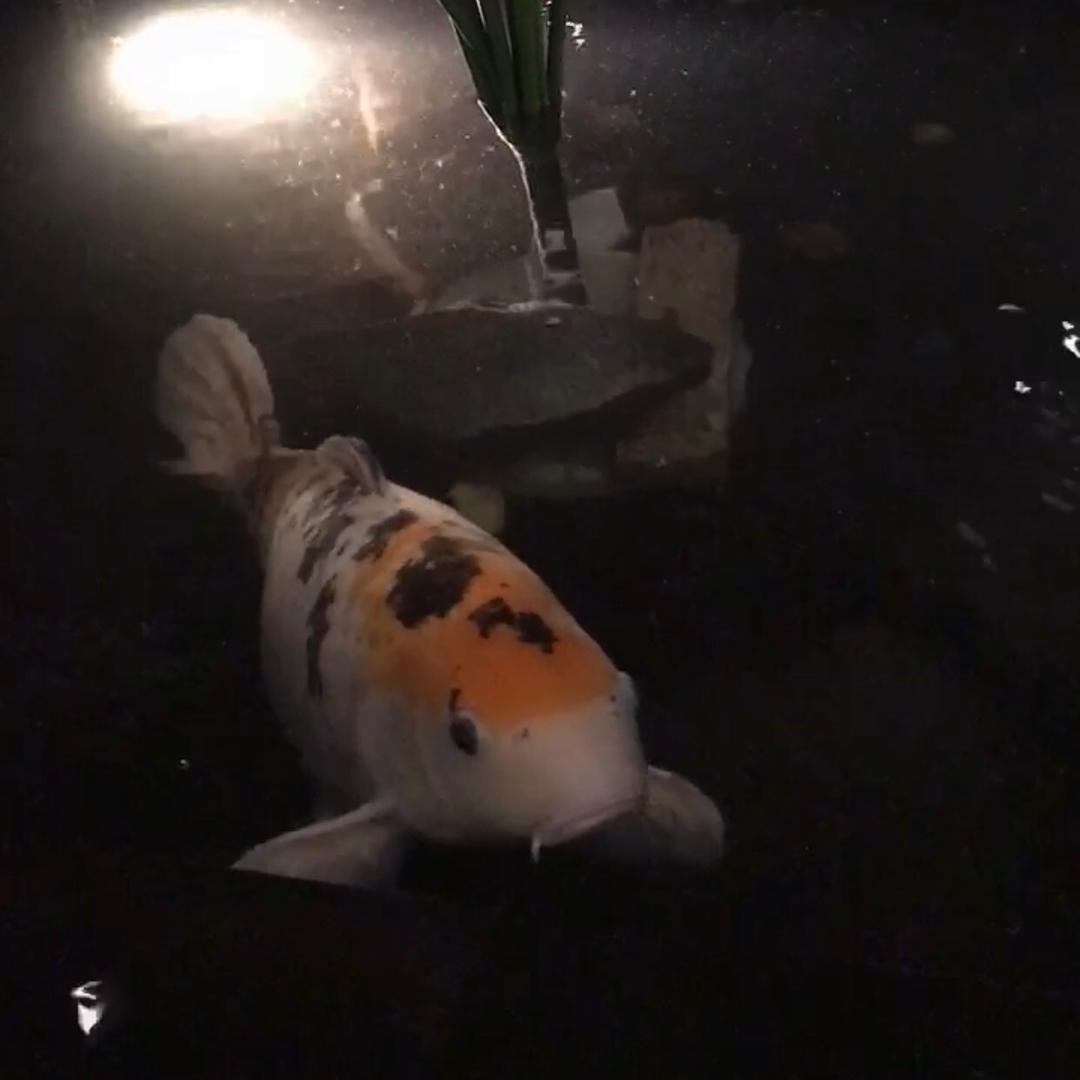 读 说 堂
