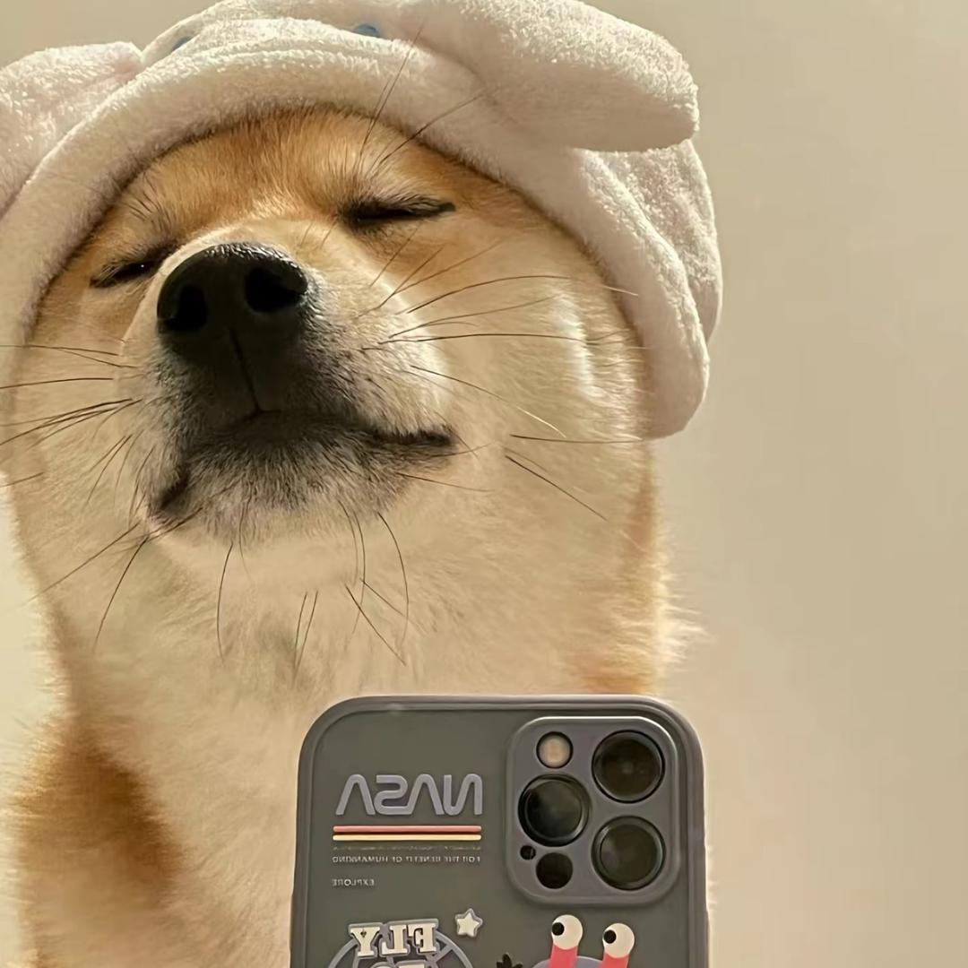 明天见.