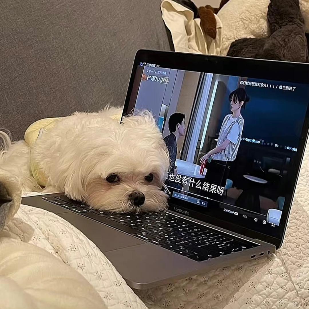 好好