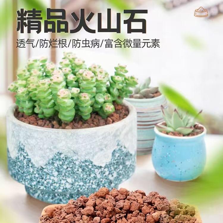 小立品植园艺
