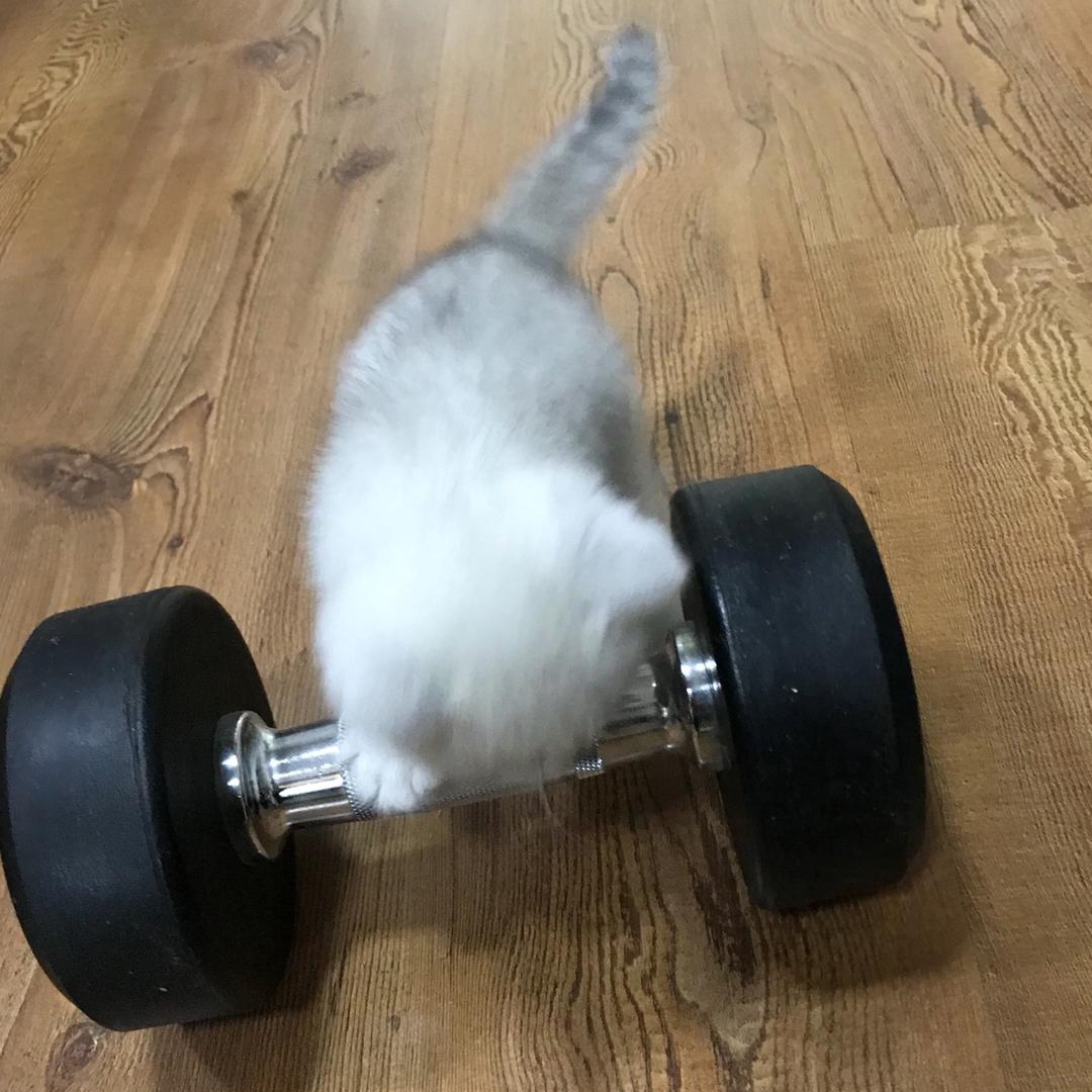 秦淋淋淋
