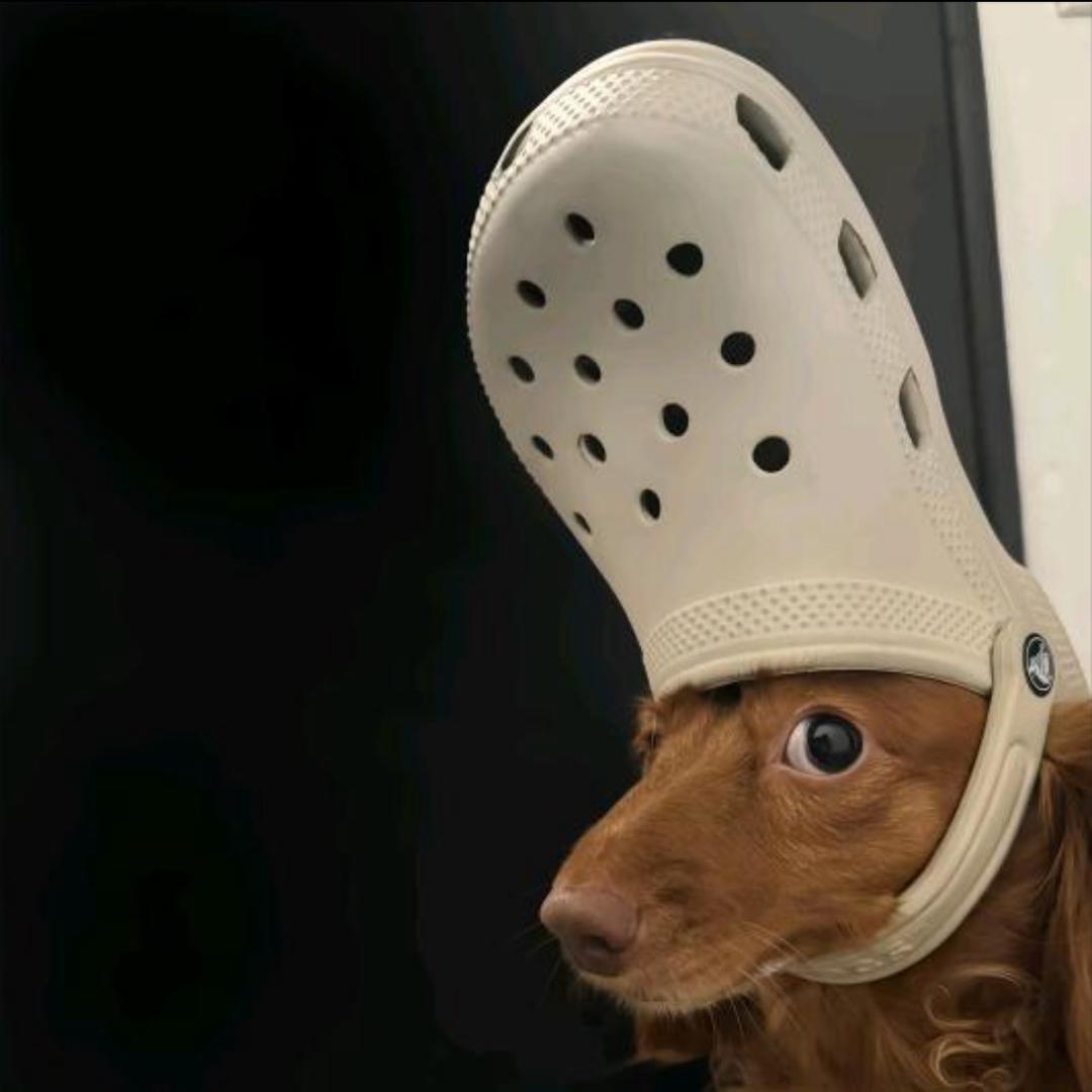 暴走