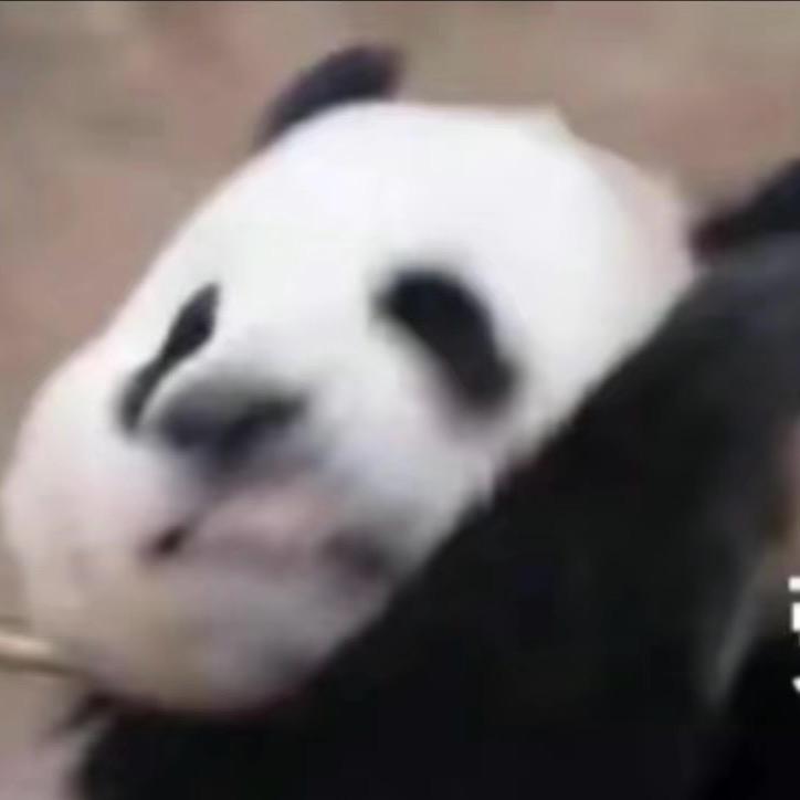 阿追