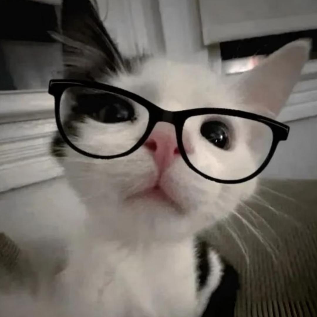 你迟来的顿悟很可爱