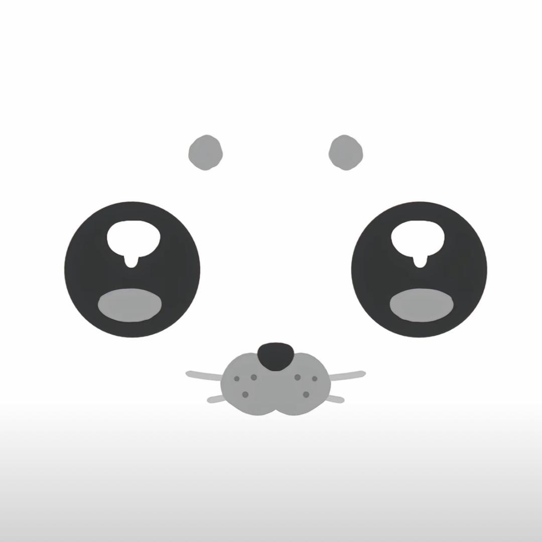 小鲨鱼