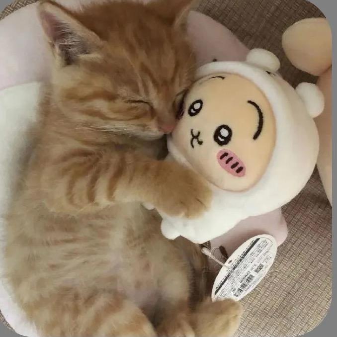 一个入叫糕
