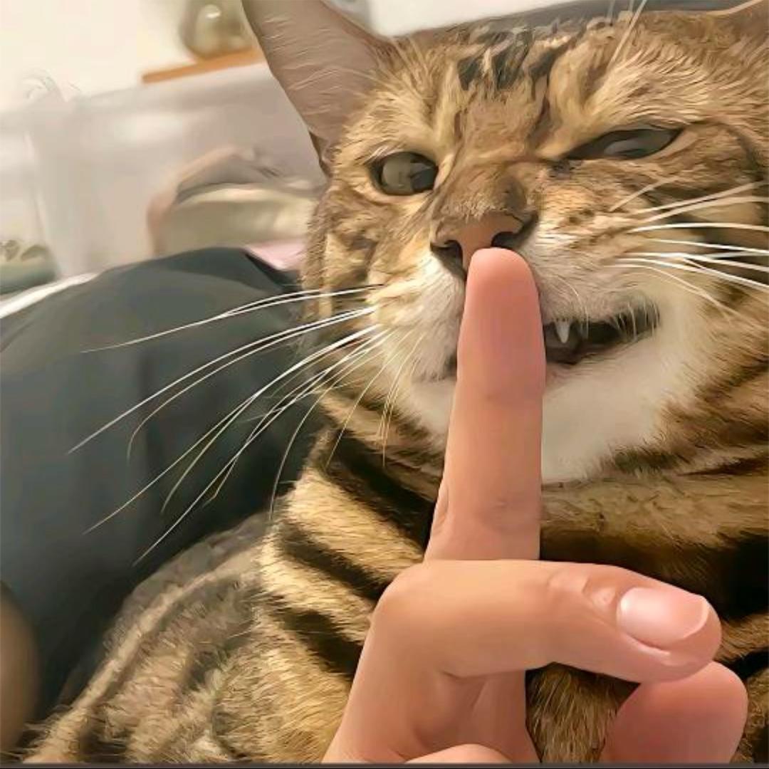 ㅤㅤㅤ赴约与海