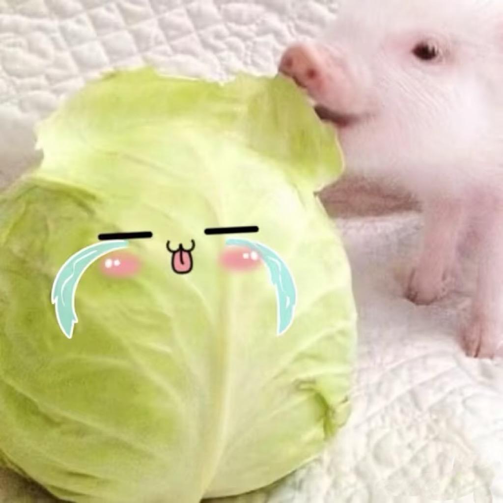 你少管我