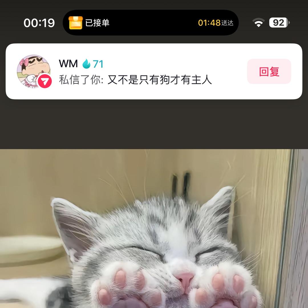 盐城阿尼西姆贸易有限公司