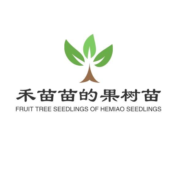 禾苗苗优选苗木绿植