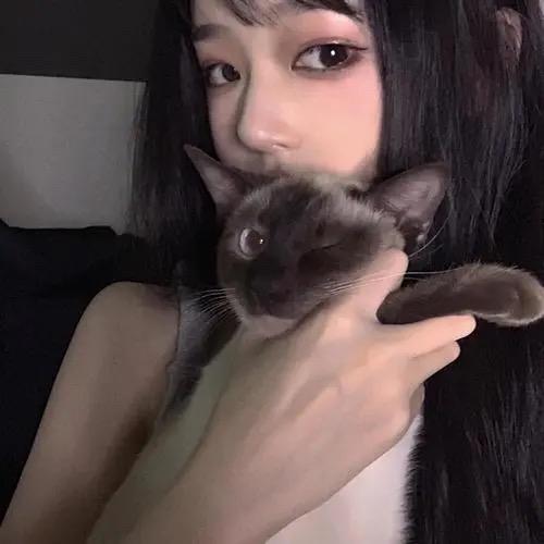 早晚得疯房车故事