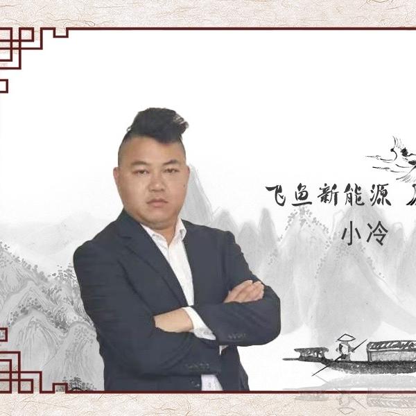 小冷新能源二手车