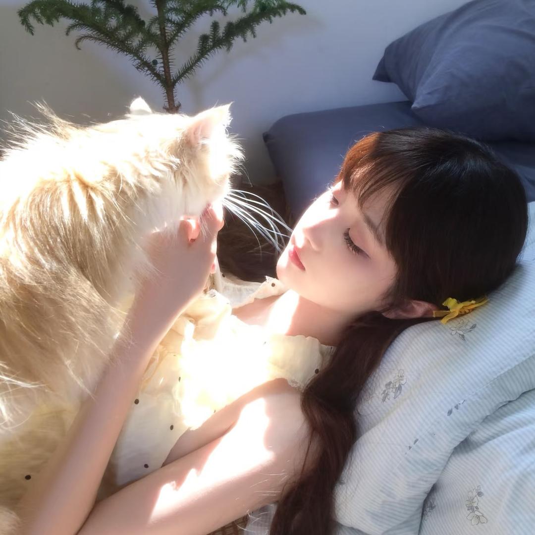 小羊糕🦄