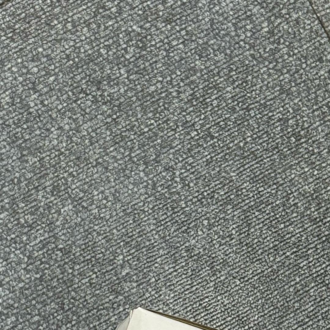 美丽绝育大蟑螂-