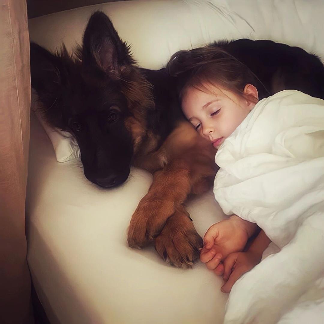 落眠舟