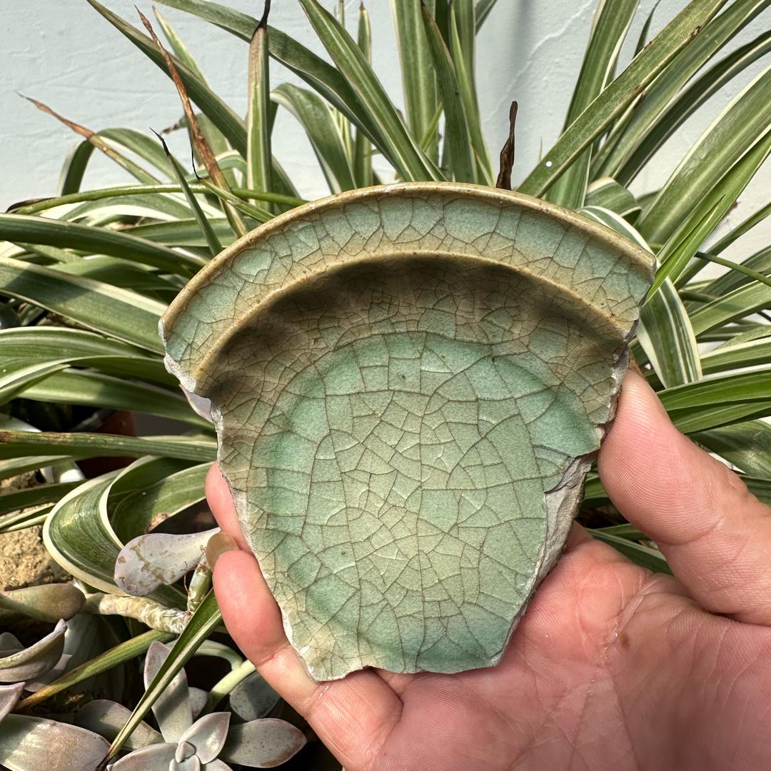 龙泉老王说瓷