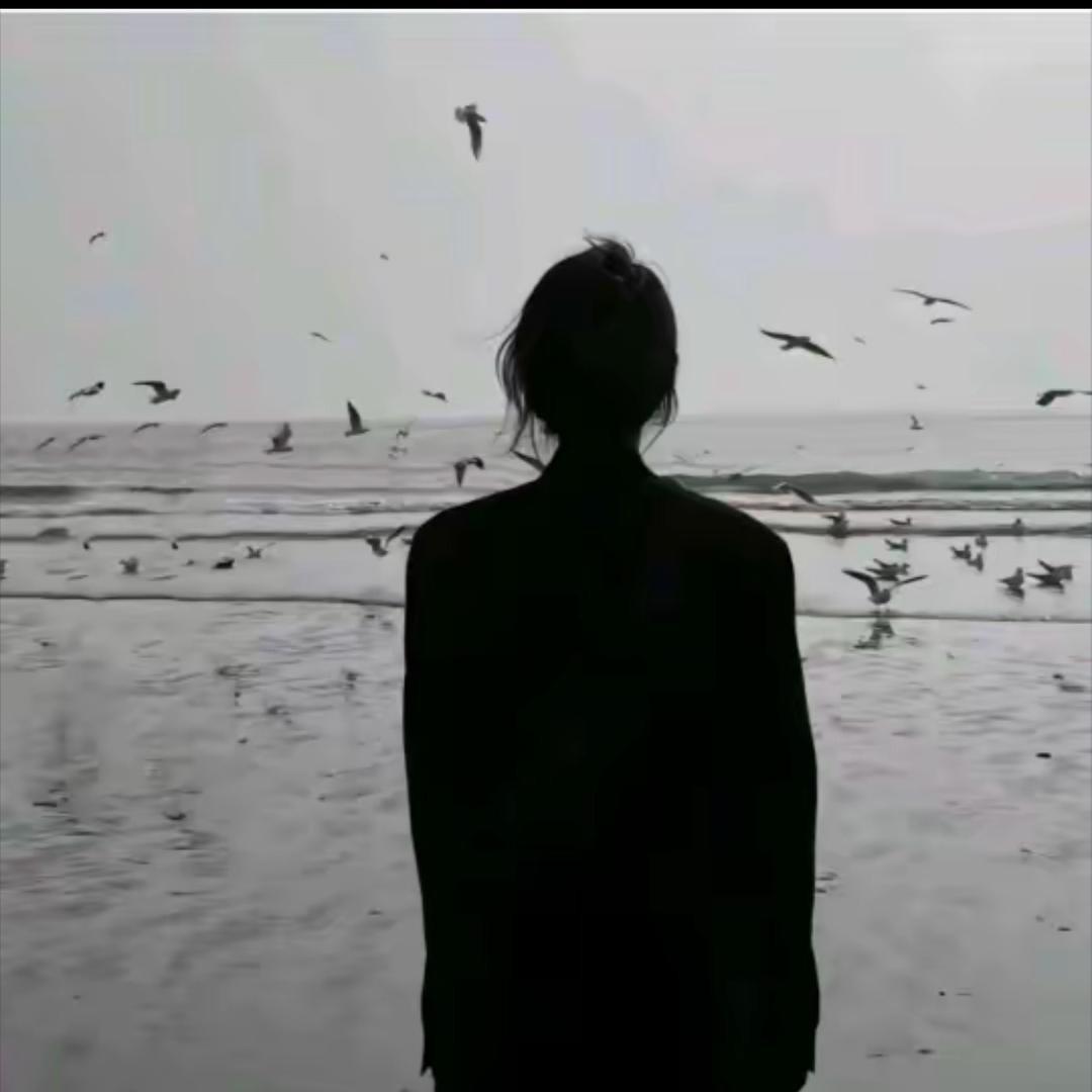 萍萍、
