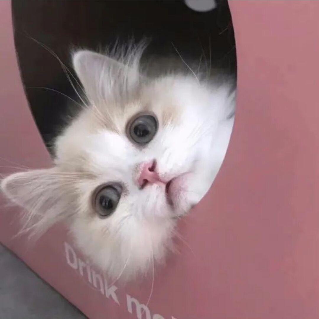 hui