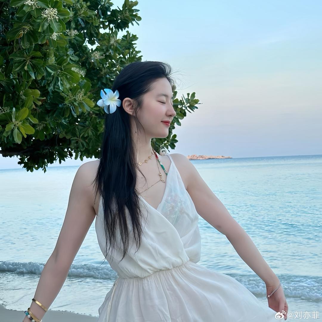 你的丹