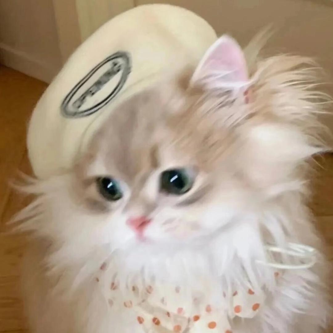小初