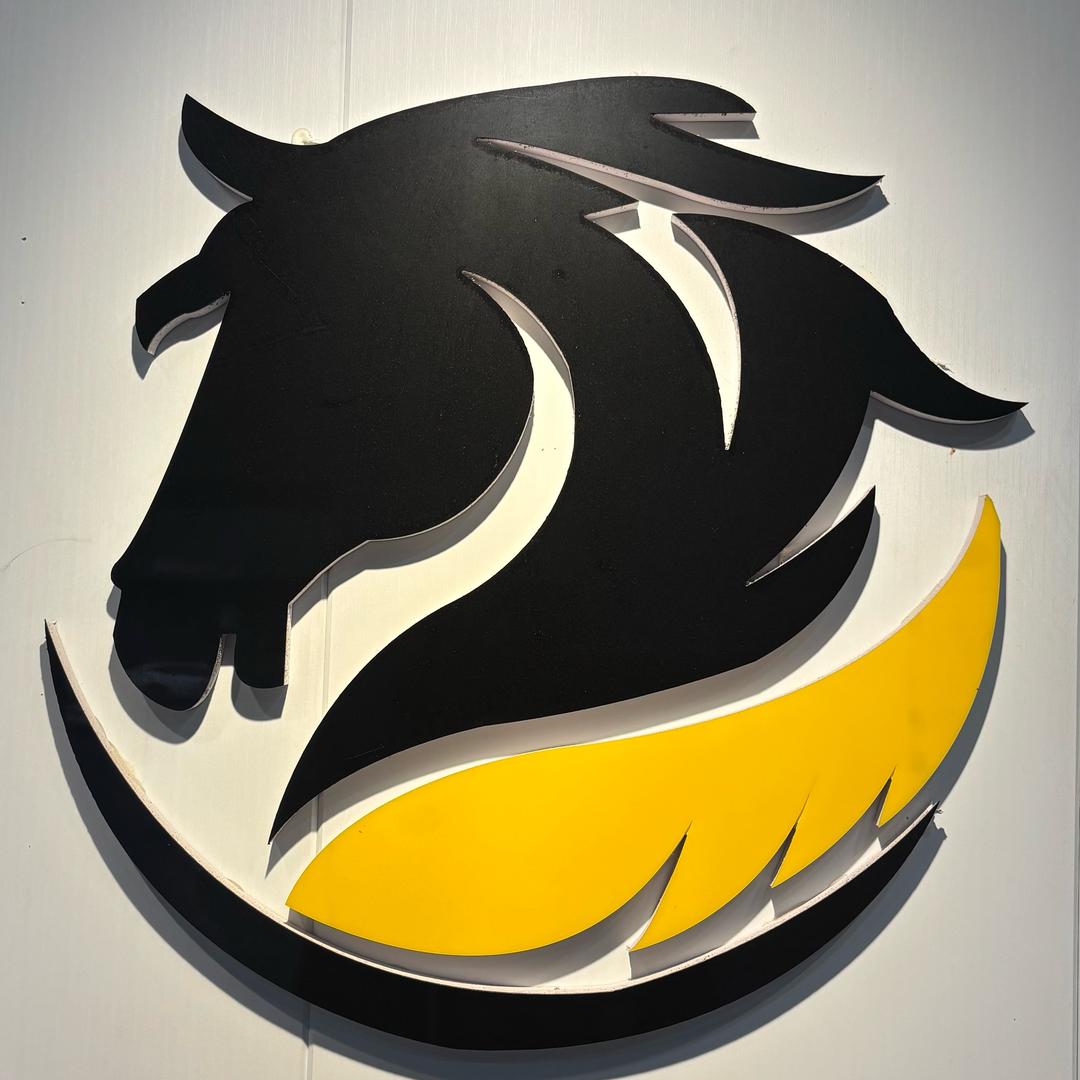 爱马精洗大师BOP保镖隐形车衣稷山店