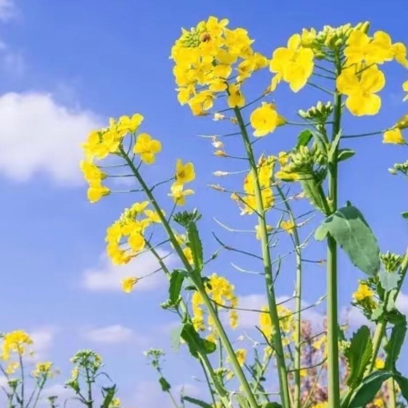 衡水聚才零工超市