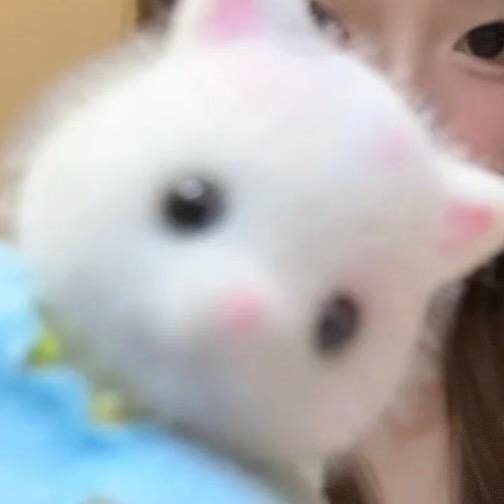 HHHan