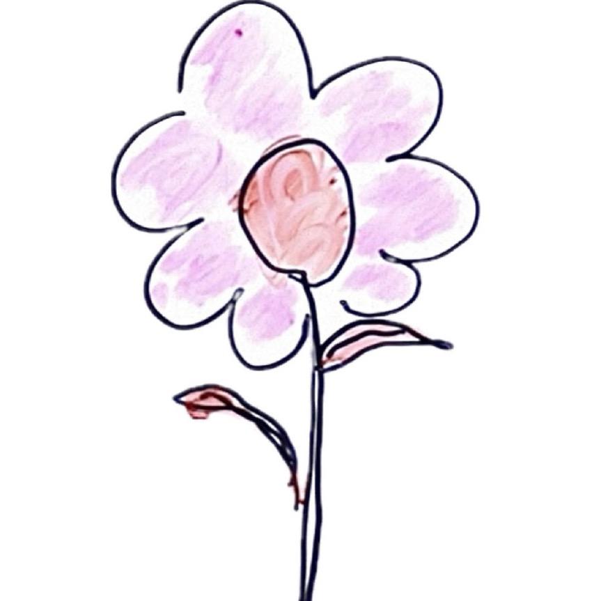 喜爱多多的小羊驼