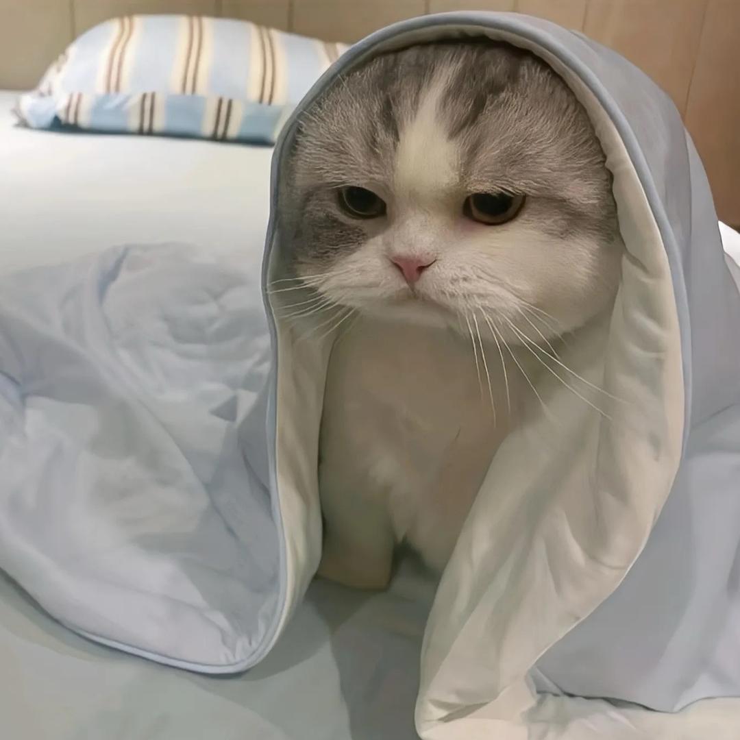 一