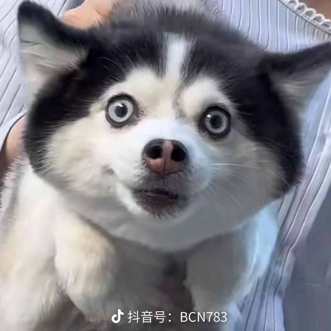 阿嘎嫫