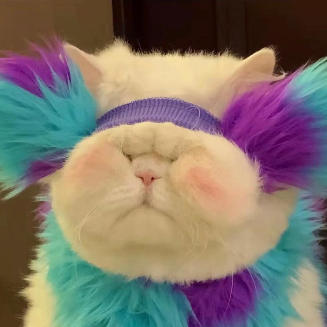 小宝☁️