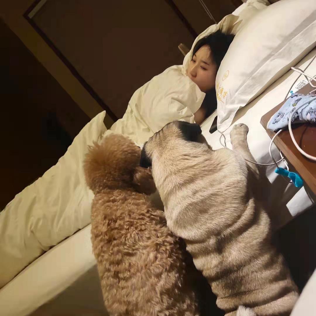 豆豆的旺仔牛奶