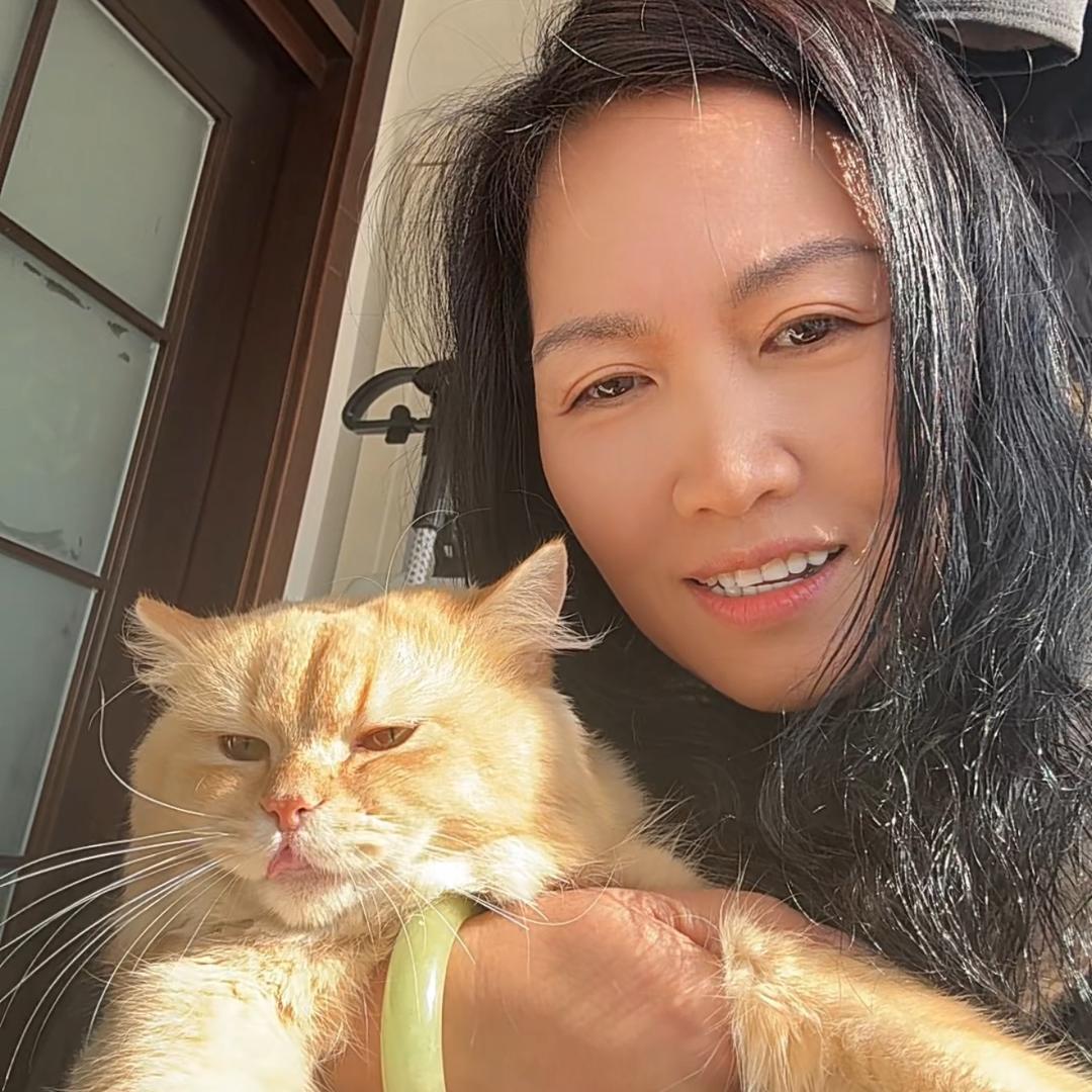 李云家的金渐层