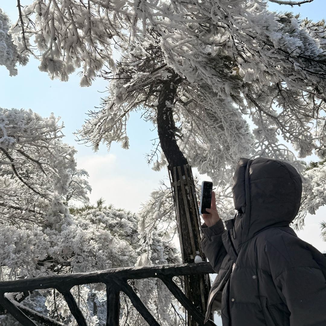 玉山新佳明眼镜💭