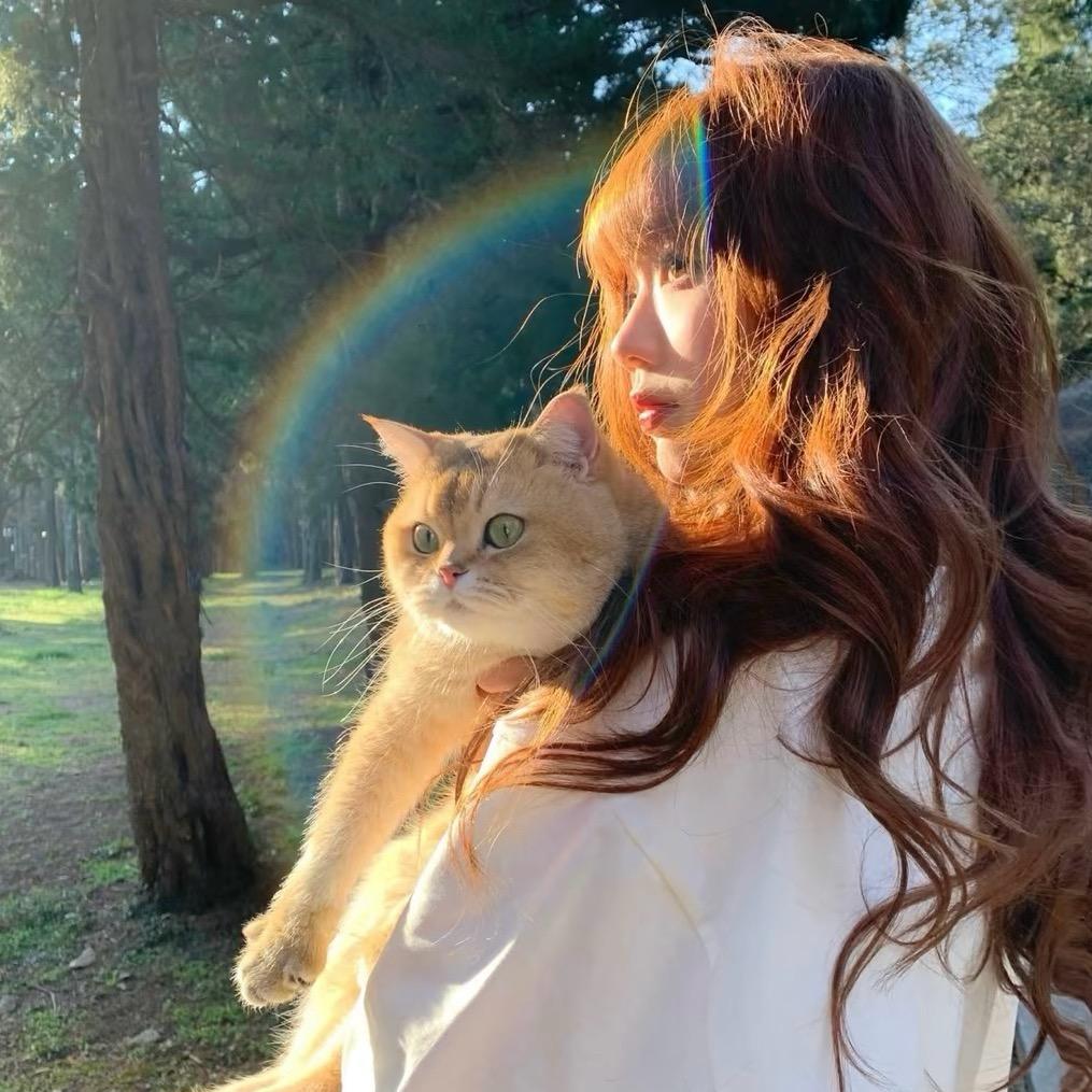 不吃香菜的李子