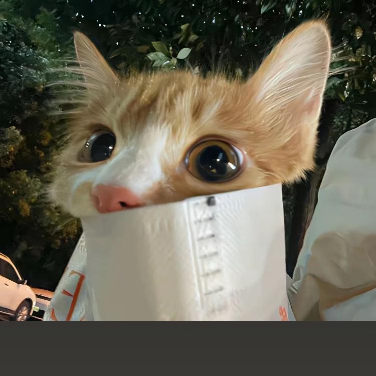 昕欣分享好物推荐