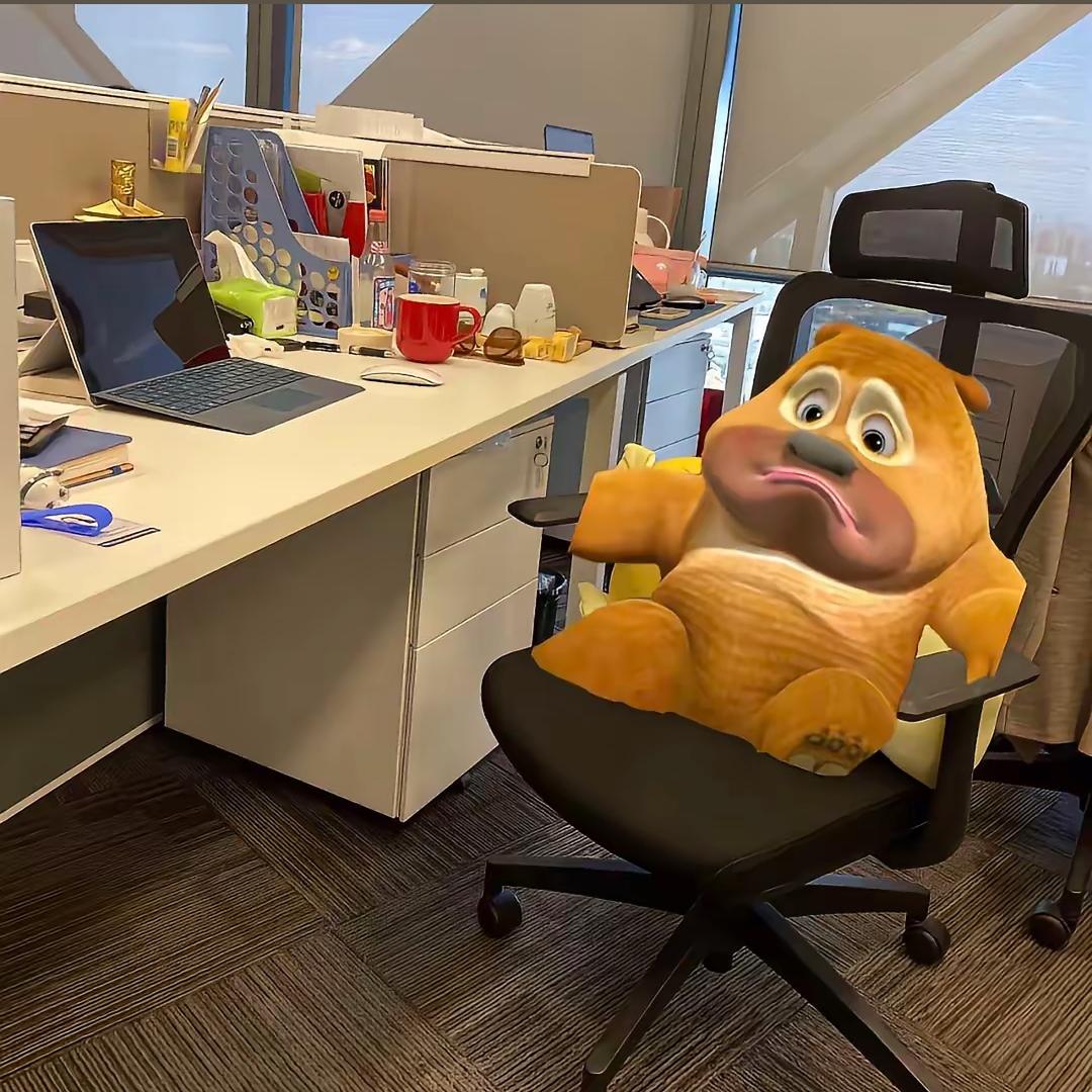 熊二🐻       IP属地：狗熊岭