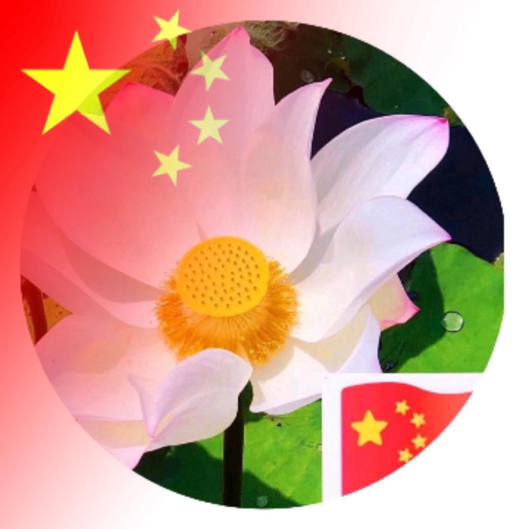 林海寜㊂