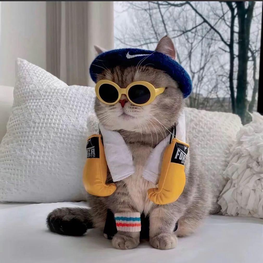 @海哥哥