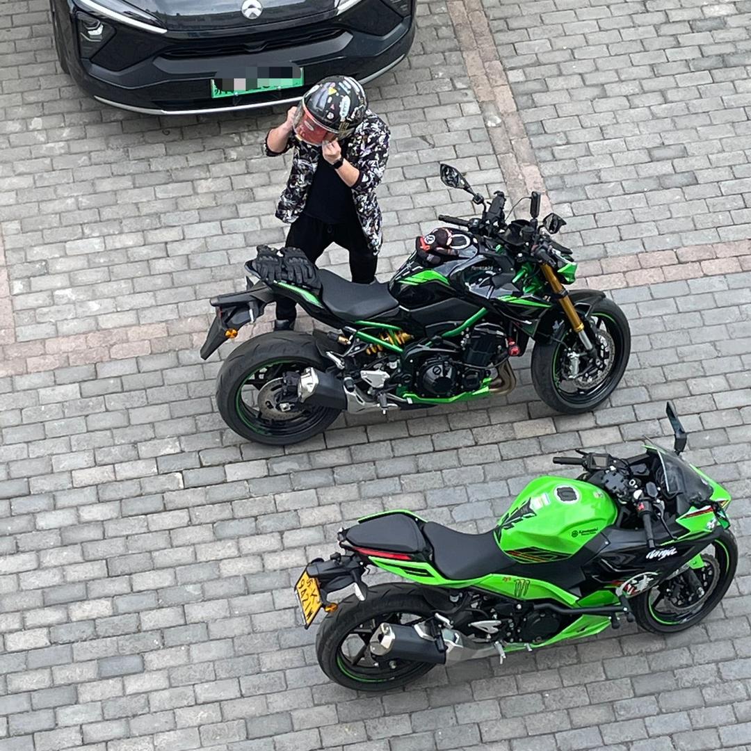 丨猛虎嗅蔷薇🐯