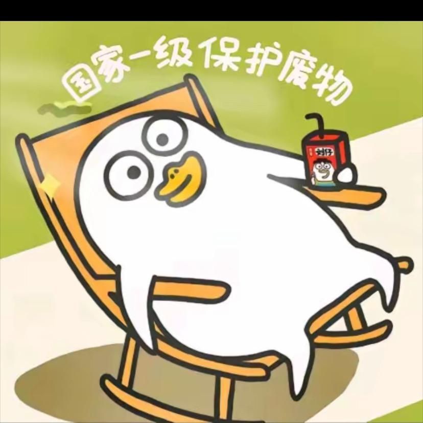 皮皮大王💖
