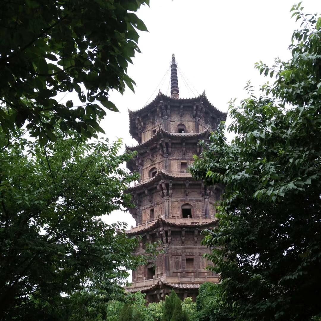 随心所欲