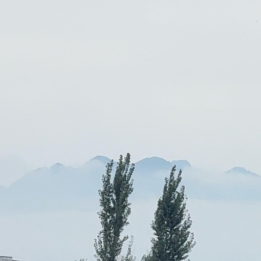 京城鰱鳙战队-周哥