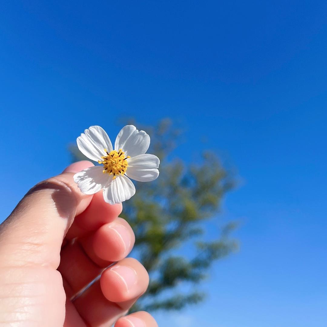 美吖