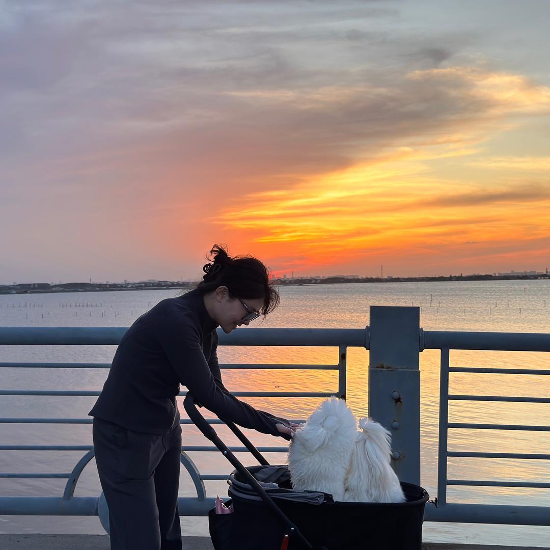 是果果跳跳呀🐶