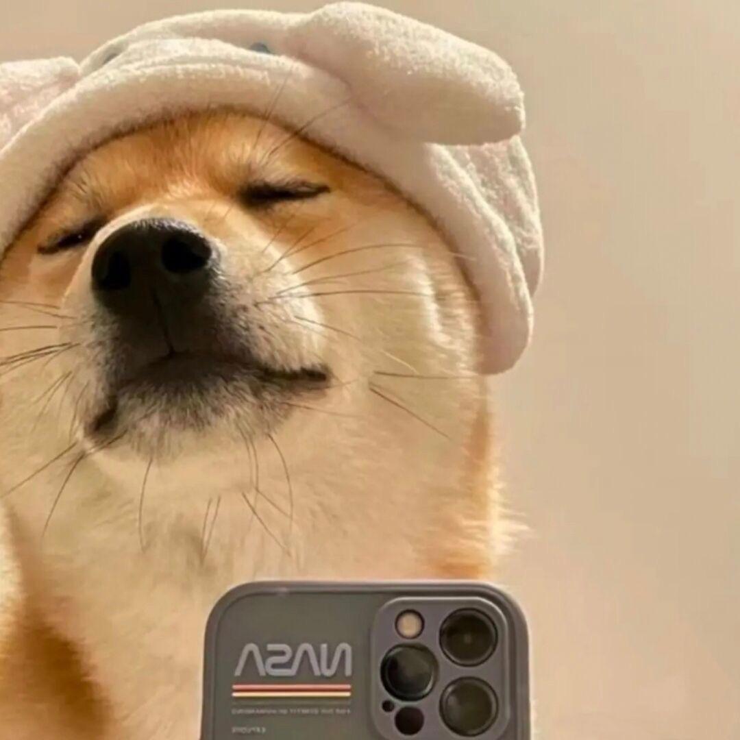 颠小白