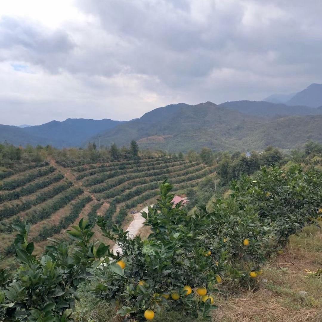 红满地农业开发