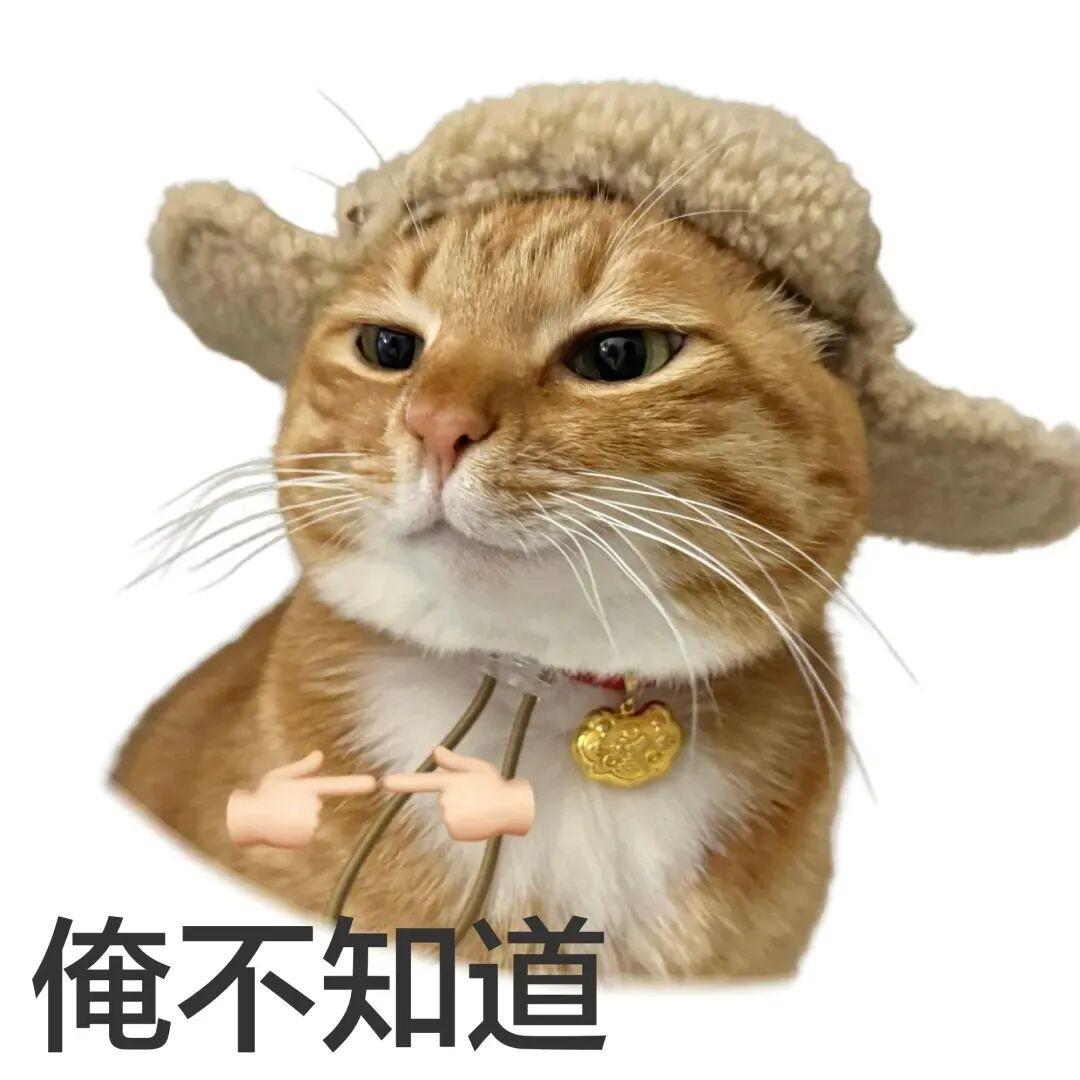 十三区